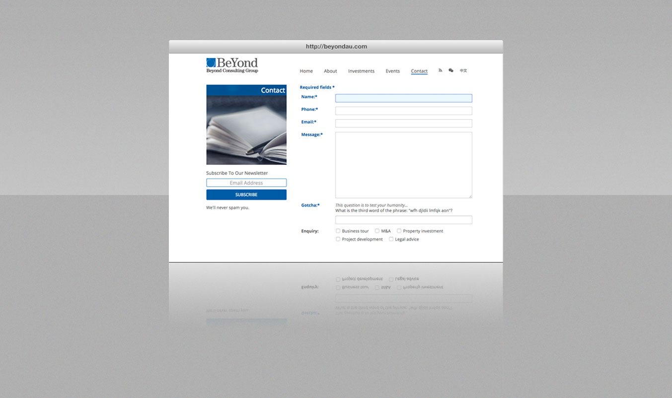 portfolio-bcg-web_c